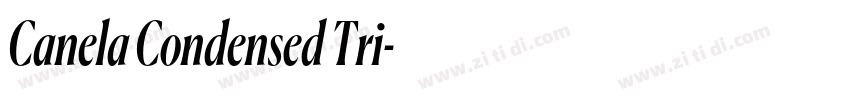Canela Condensed Tri字体转换